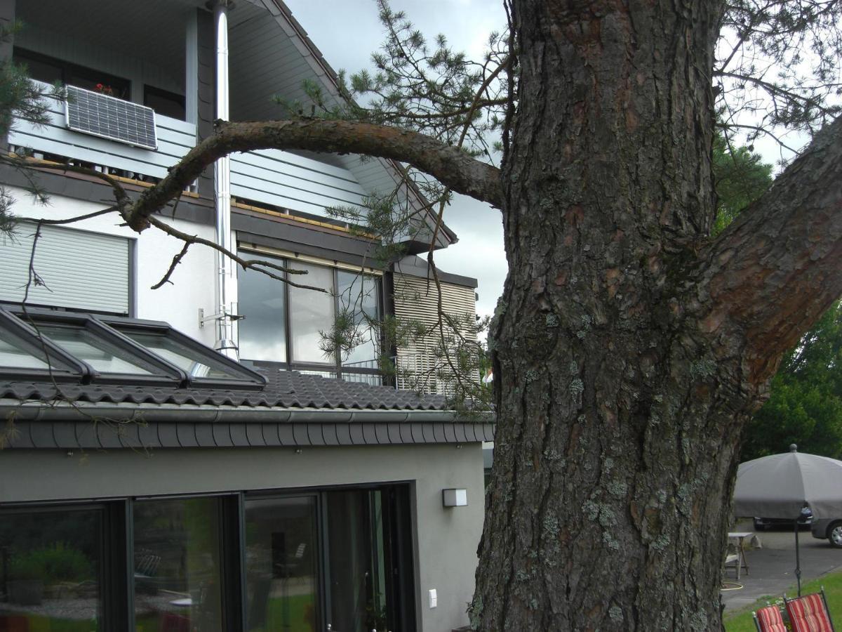 Ferienwohnung Alter Weinberg Saarburg Exterior foto