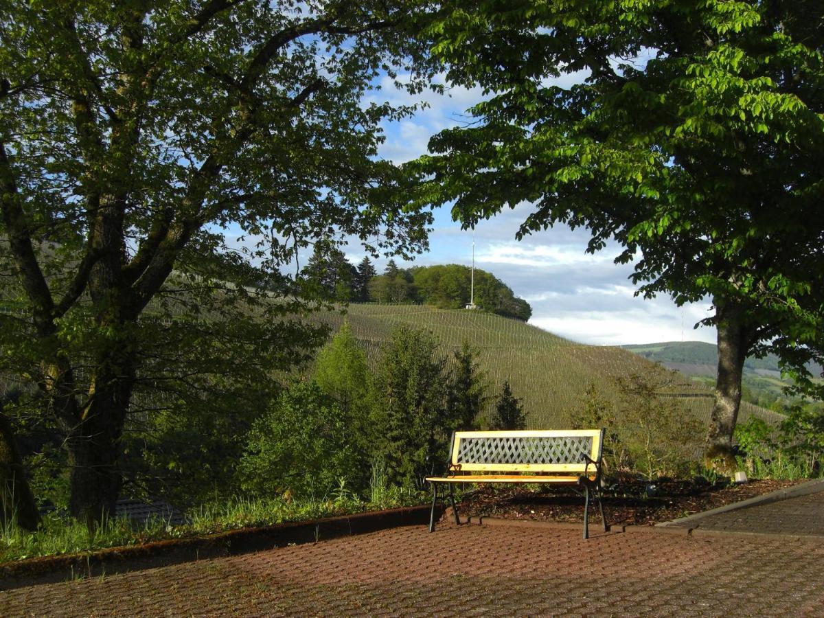 Ferienwohnung Alter Weinberg Saarburg Exterior foto