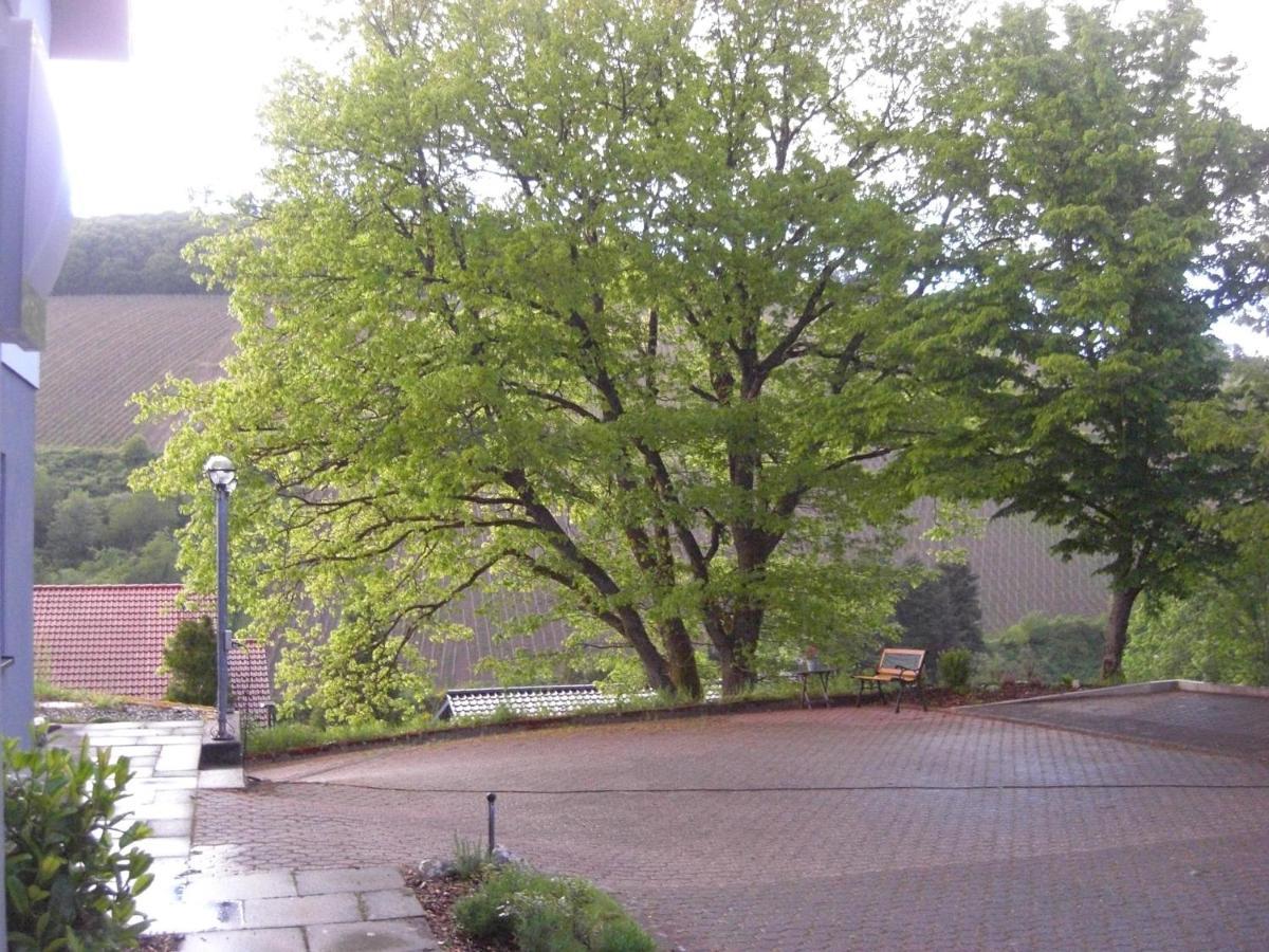 Ferienwohnung Alter Weinberg Saarburg Exterior foto